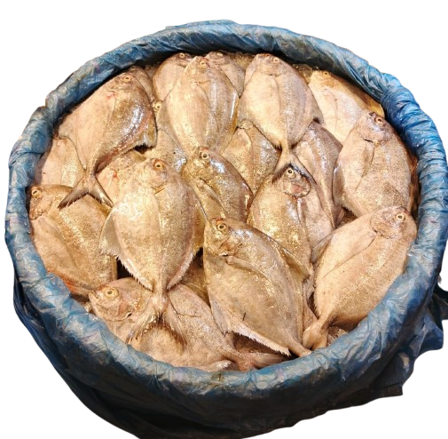 Black Pomfret ( কালো রূপচাঁদা)