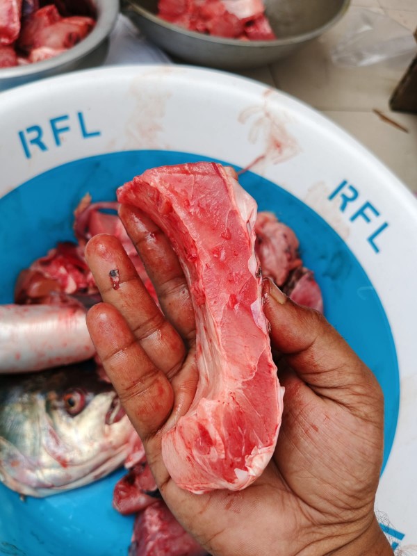 Roi (রুই মাছ)