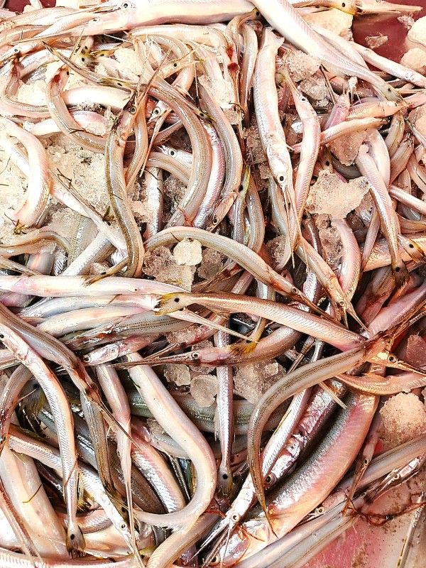 দেশি কাকিলা মাছ